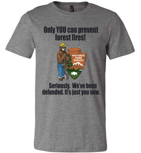 Smokey Defunded Only You Can Prevent Forest Fires - Shirt Heather Grey