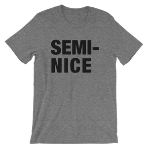 Semi Nice TShirt